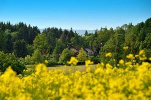 Altes Forsthaus Goseplack 호텔 Hardegsen 외부 사진